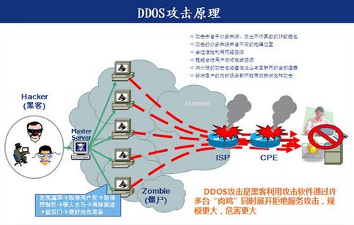 如何有效防御和应对DDoS攻击？缩略图